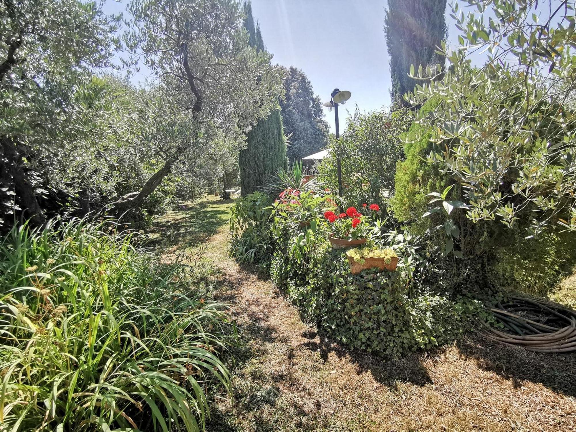 Вілла La Casa Dei Nonni Larciano Екстер'єр фото